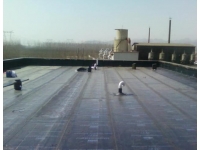 深圳新建住宅卫生间集体渗漏？这样做防水，顺利交房无烦恼