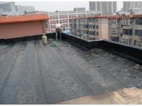 四九图库澳门49图库